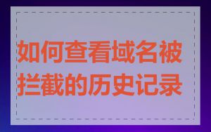 如何查看域名被拦截的历史记录