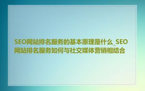 SEO网站排名服务的基本原理是什么_SEO网站排名服务如何与社交媒体营销相结合