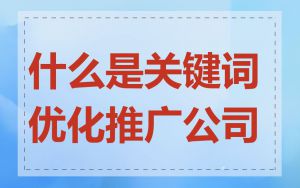 什么是关键词优化推广公司