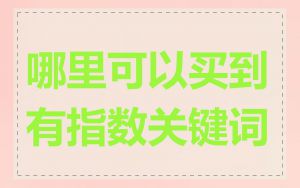 哪里可以买到有指数关键词