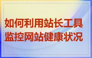 如何利用站长工具监控网站健康状况