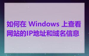 如何在 Windows 上查看网站的IP地址和域名信息