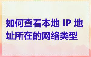 如何查看本地 IP 地址所在的网络类型