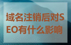 域名注销后对SEO有什么影响