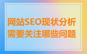 网站SEO现状分析需要关注哪些问题