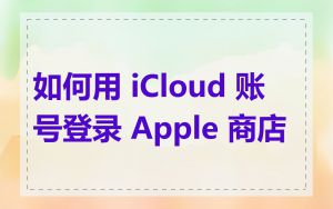 如何用 iCloud 账号登录 Apple 商店
