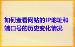 如何查看网站的IP地址和端口号的历史变化情况
