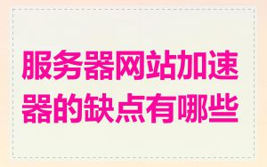 服务器网站加速器的缺点有哪些