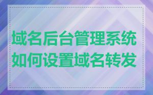 域名后台管理系统如何设置域名转发