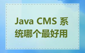 Java CMS 系统哪个最好用