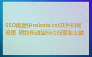 SEO配置中robots.txt文件如何设置_网站移动端SEO配置怎么做