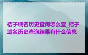 桔子域名历史查询怎么查_桔子域名历史查询结果有什么信息