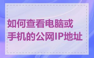 如何查看电脑或手机的公网IP地址