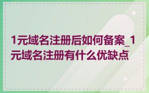1元域名注册后如何备案_1元域名注册有什么优缺点