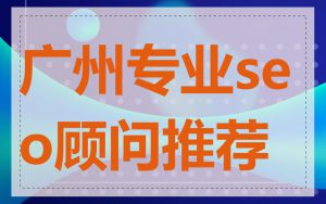 广州专业seo顾问推荐