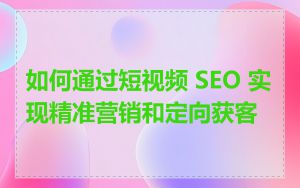 如何通过短视频 SEO 实现精准营销和定向获客