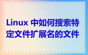 Linux 中如何搜索特定文件扩展名的文件