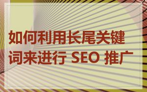 如何利用长尾关键词来进行 SEO 推广