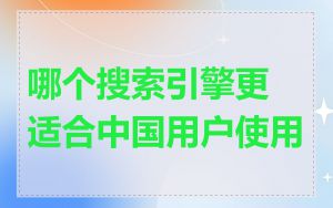 哪个搜索引擎更适合中国用户使用