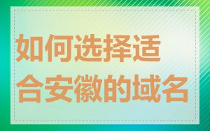 如何选择适合安徽的域名