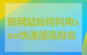 新网站如何利用seo快速提高排名