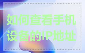 如何查看手机设备的IP地址