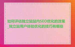 如何评估独立站站内SEO优化的效果_独立站用户体验优化的技巧有哪些