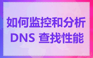 如何监控和分析 DNS 查找性能