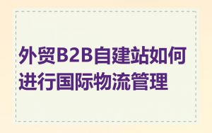 外贸B2B自建站如何进行国际物流管理