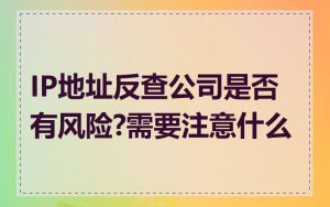 IP地址反查公司是否有风险?需要注意什么