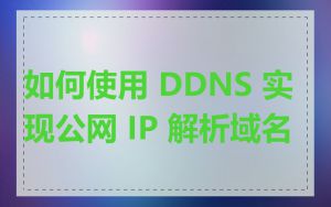 如何使用 DDNS 实现公网 IP 解析域名