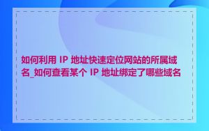 如何利用 IP 地址快速定位网站的所属域名_如何查看某个 IP 地址绑定了哪些域名
