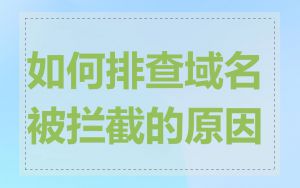 如何排查域名被拦截的原因