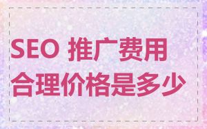 SEO 推广费用合理价格是多少