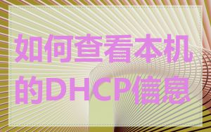 如何查看本机的DHCP信息