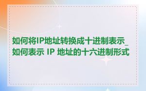 如何将IP地址转换成十进制表示_如何表示 IP 地址的十六进制形式