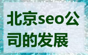 北京seo公司的发展