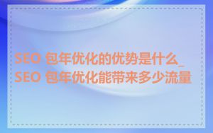 SEO 包年优化的优势是什么_SEO 包年优化能带来多少流量