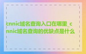cnnic域名查询入口在哪里_cnnic域名查询的优缺点是什么