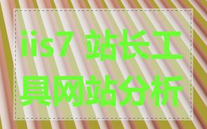 iis7 站长工具网站分析