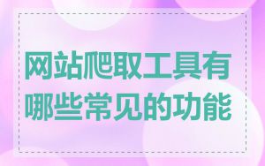 网站爬取工具有哪些常见的功能