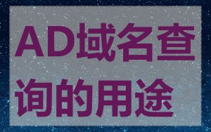 AD域名查询的用途