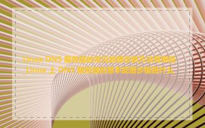 Linux DNS 服务器的常见故障诊断方法有哪些_Linux 上 DNS 服务器的基本配置步骤是什么