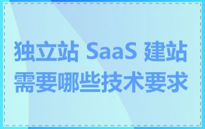 独立站 SaaS 建站需要哪些技术要求