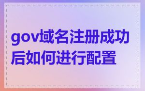 gov域名注册成功后如何进行配置