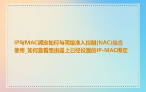 IP与MAC绑定如何与网络准入控制(NAC)结合使用_如何查看路由器上已经设置的IP-MAC绑定