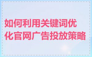 如何利用关键词优化官网广告投放策略