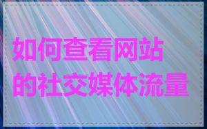 如何查看网站的社交媒体流量