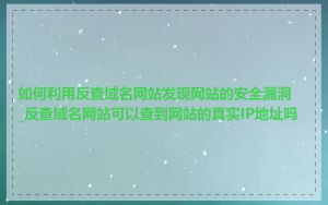 如何利用反查域名网站发现网站的安全漏洞_反查域名网站可以查到网站的真实IP地址吗